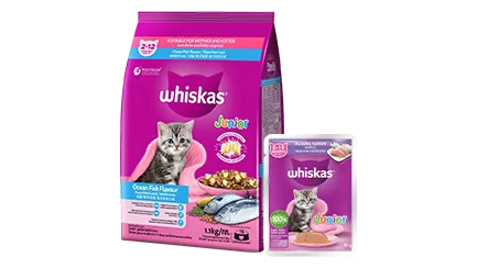 vn kitten flexible homepage