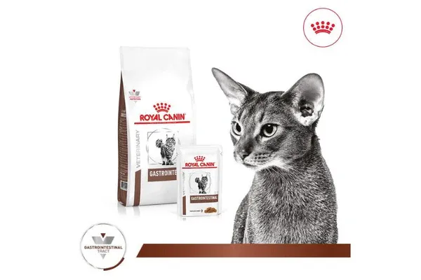Thức Ăn Hạt Điều Trị Bệnh Cho Mèo Hỗ Trợ Tiêu Hoá Royal Canin Gastrointestinal