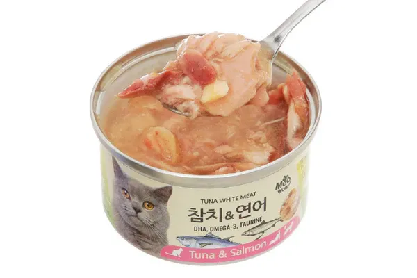 So sánh pate cho mèo tự làm và pate mua sẵn