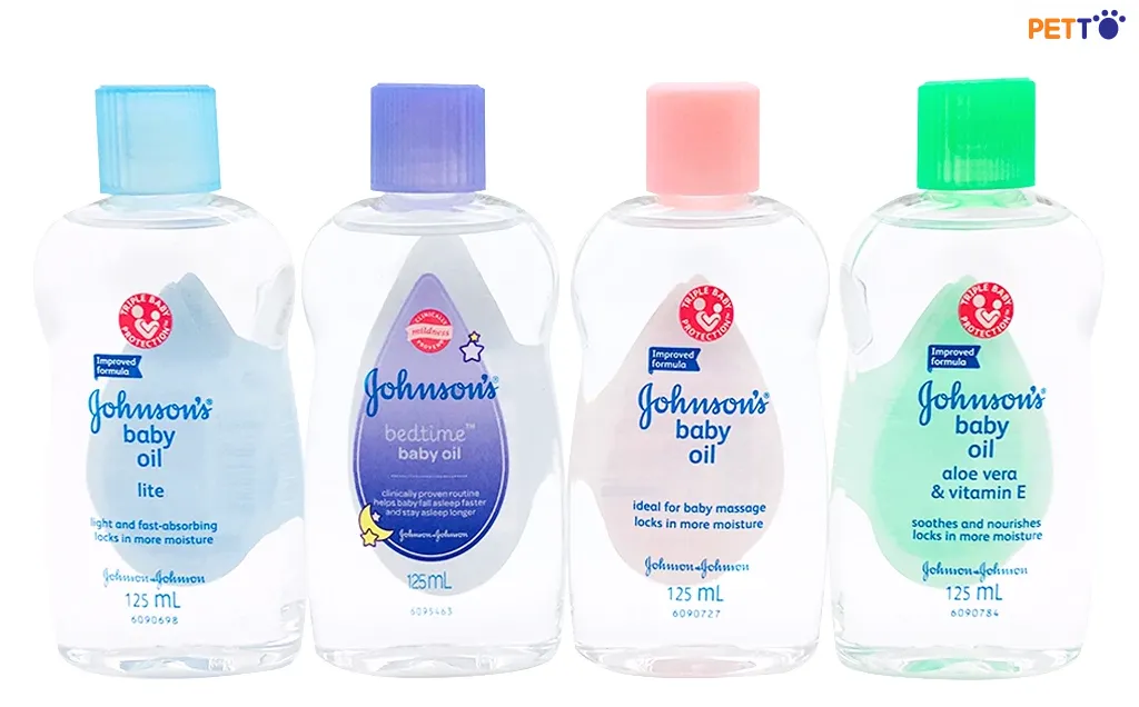 mèo dính keo dính chuột