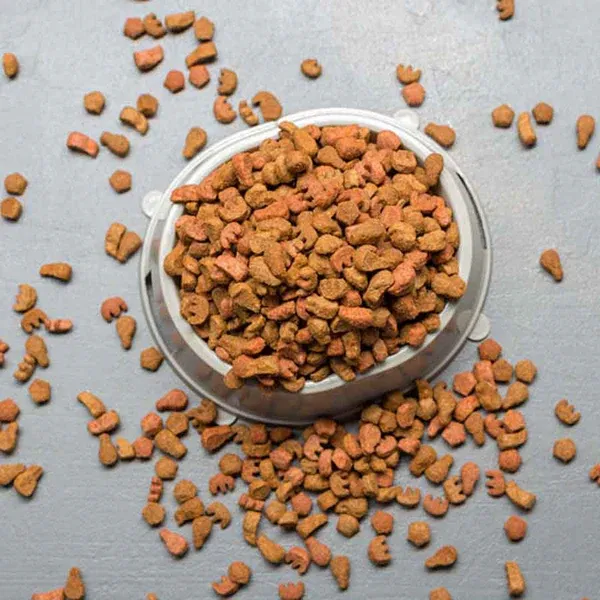 top-12-loai-thuc-an-hat-cho-meo-tot-nhat-2023