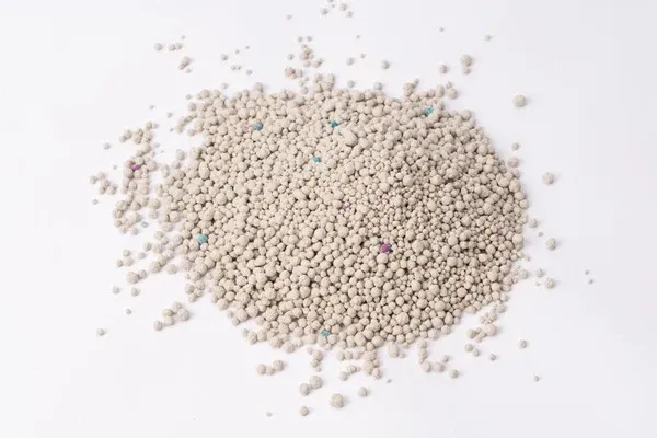 Mèo đang đứng cạnh khay vệ sinh nhựa có nắp đậy kín giúp hạn chế mùi hôi