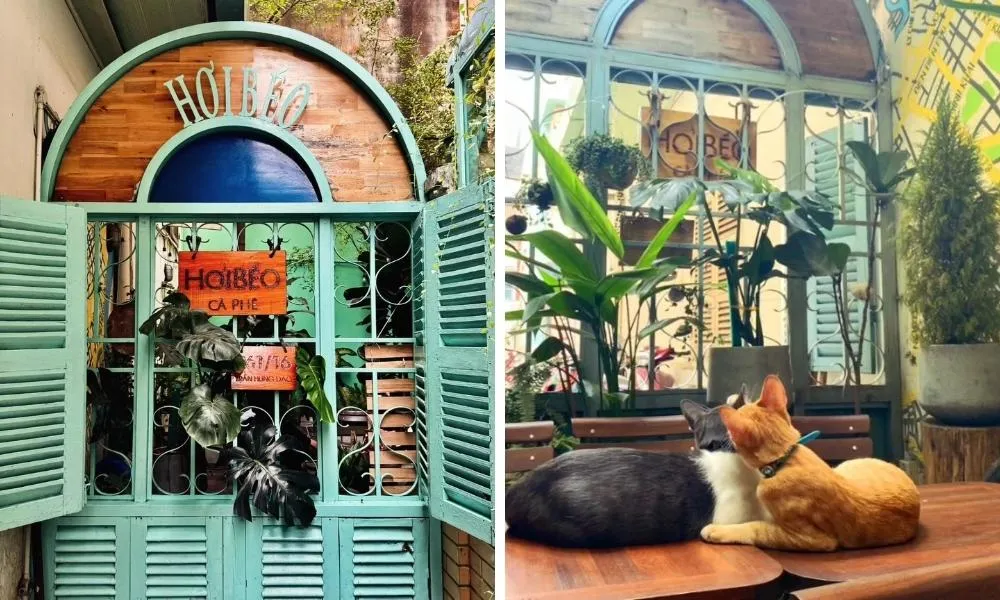 Không gian làm việc yên tĩnh tại Hơi Béo Cà Phê với sự xuất hiện của các bạn mèo