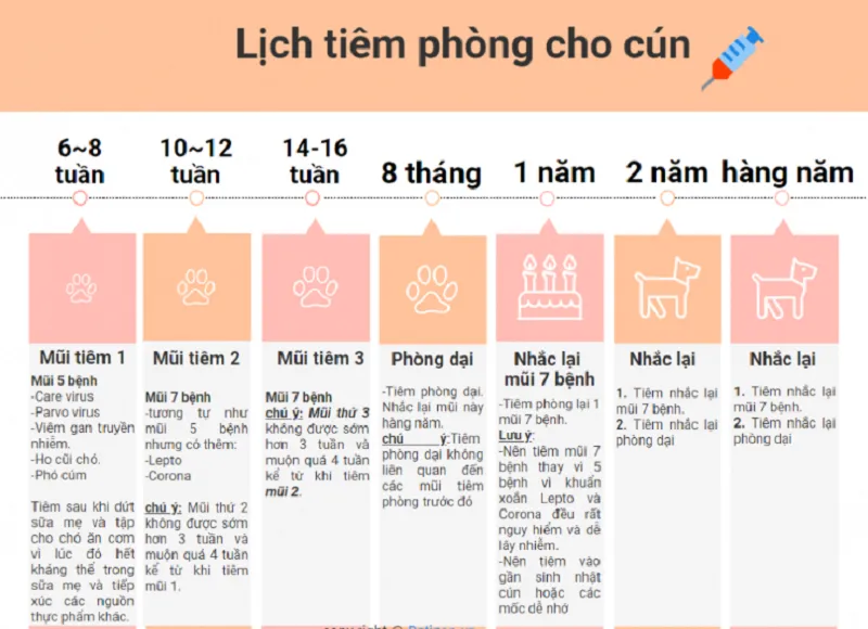 Thông tin chi tiết lịch tiêm phòng cho chó