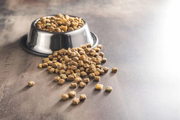 Hàm lượng dinh dưỡng trong thức ăn cho chó con cần đảm bảo cân đối