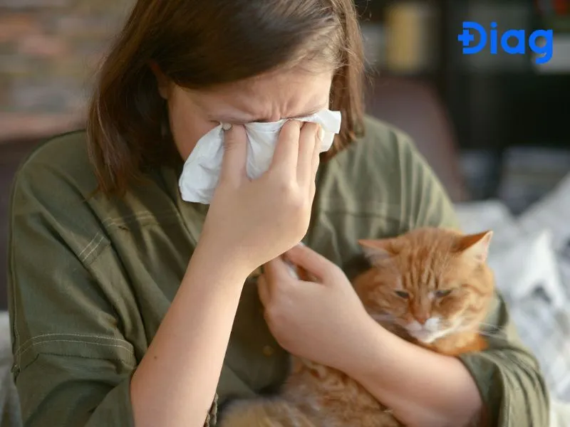 Mắt đỏ và ngứa là dấu hiệu điển hình của viêm kết mạc dị ứng lông mèo