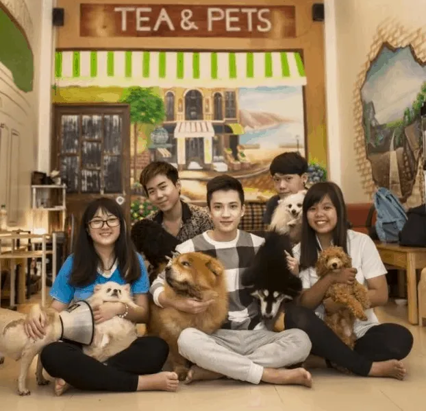 Tea&Pets cho phép mang thú cưng riêng