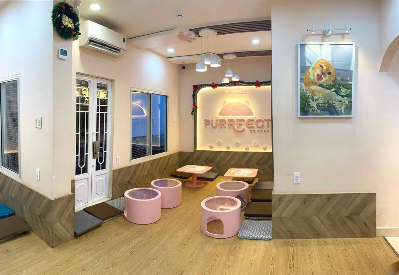 Đa dạng giống mèo tại Purrfect Coffee