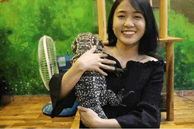 Bò sát tại Babo Coffee