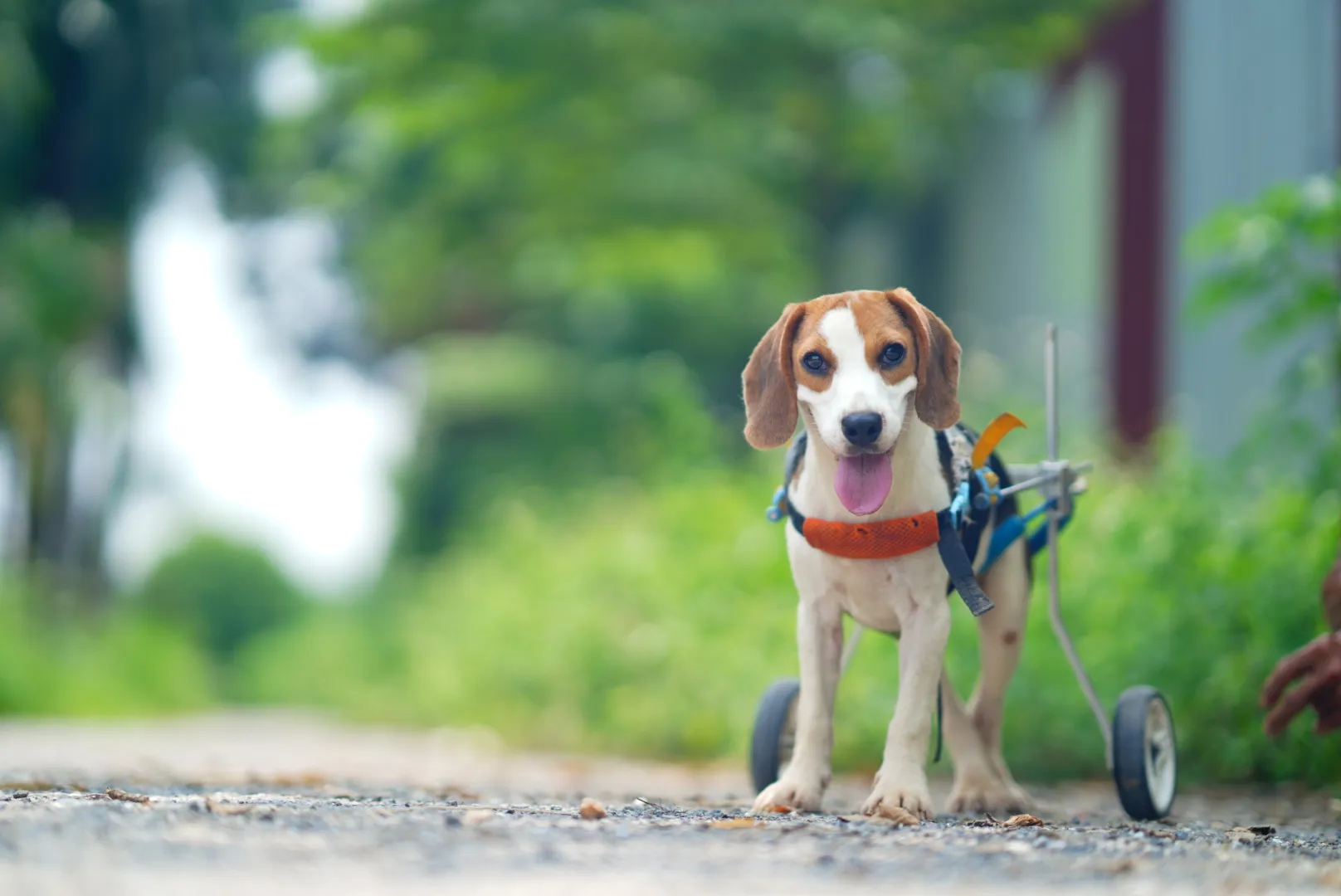 THÔNG BÁO Äá»"I TÀI KHOáº¢N PAYPAL