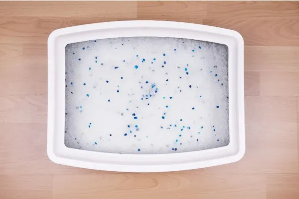 Các loại cát mèo giá rẻ