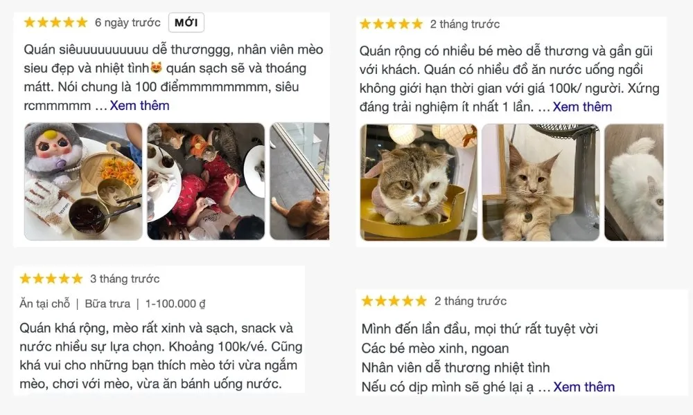 Ảnh chụp màn hình các đánh giá tích cực của khách hàng về dịch vụ tại CATFE