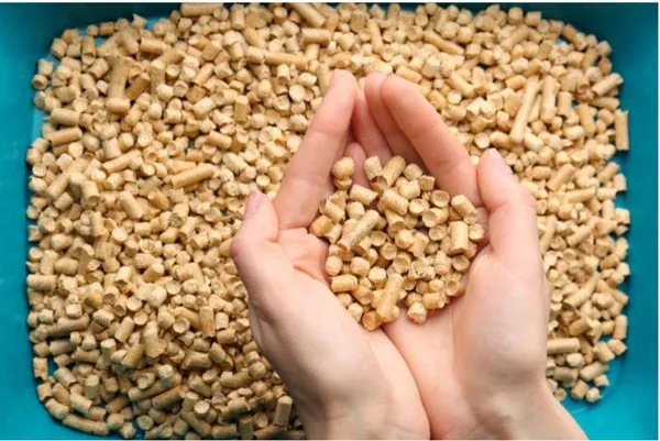 Các loại cát mèo giá rẻ