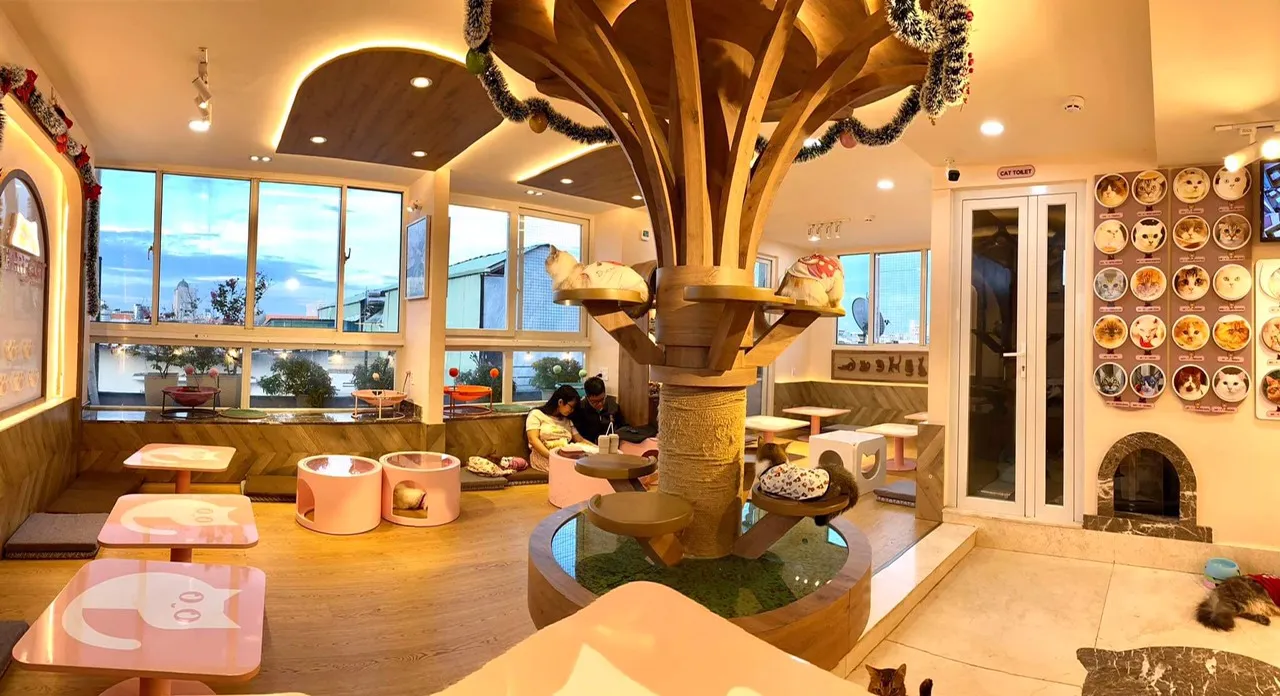 Purrfect Coffee với không gian rộng 200m2