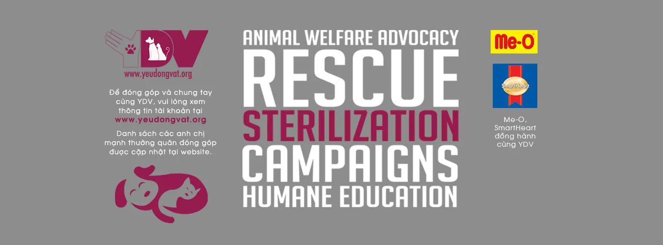 Chuẩn bị đầy đủ vật dụng cần thiết trước khi đón thú cưng về nhà mới