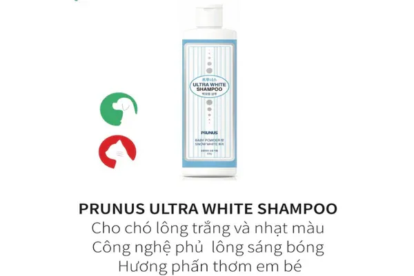 Sữa tắm tẩy ố lông chó