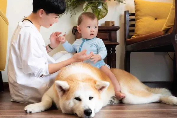 Một gia đình hạnh phúc đang chơi đùa cùng chú chó nhỏ trong phòng khách sạch sẽ