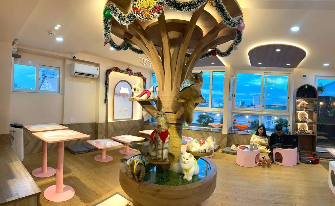 Đội ngũ mèo đa dạng giống