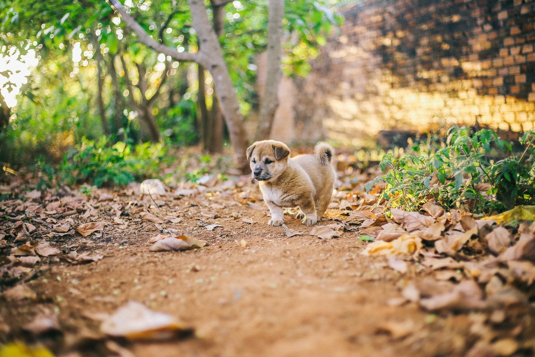 Cùng tham gia group YÊU CÚN Cá»Ž nha!