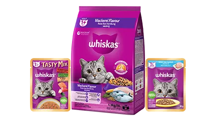 vn adult flexible homepage