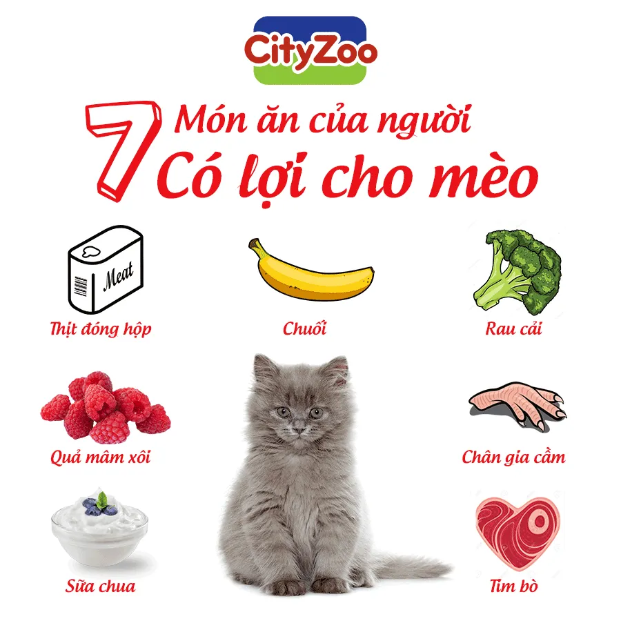 thuc-pham-co-loi-cho-meo