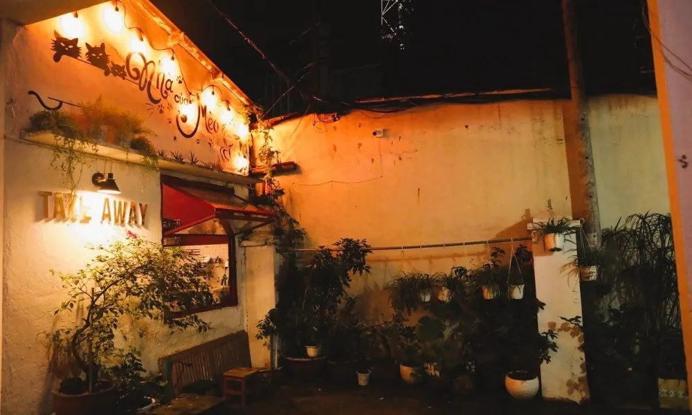 Khách hàng đang vui đùa cùng mèo trong không gian ấm cúng của Nhà Của Mèo