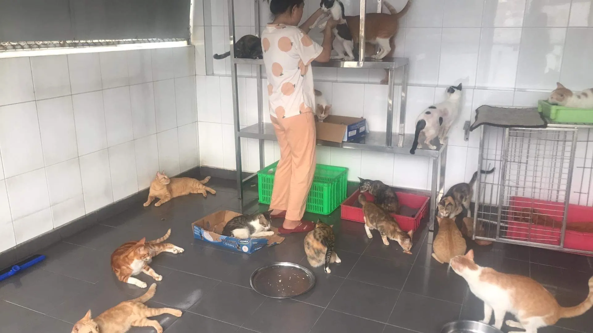 Hãy luôn xác minh thông tin từ các trang chính thống để tránh bị lừa đảo