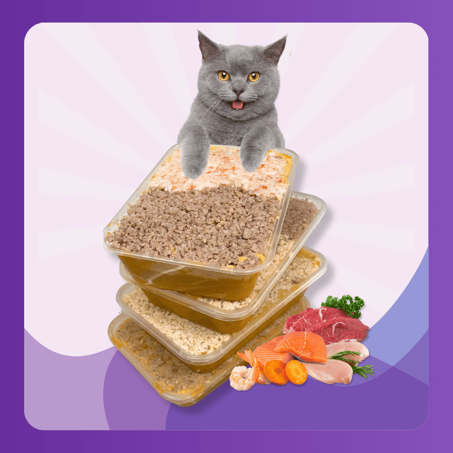 DANH-MUC-SAN-PHAM-WEBSITE-1