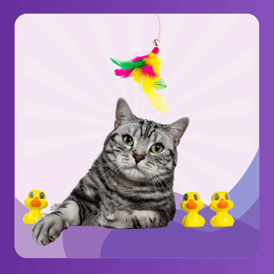 DANH-MUC-SAN-PHAM-WEBSITE-4-1