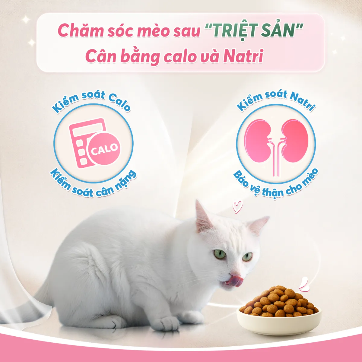 anh-12-kiem-soat-natri