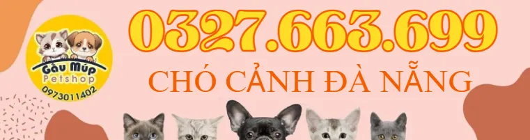 Cửa hàng bán chó cảnh tại Đà Nẵng