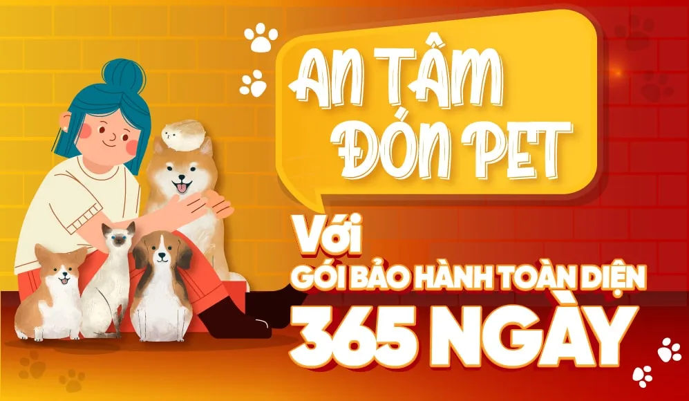 cửa hàng mua bán chó mèo hà nội uy tín chuyên nghiệp