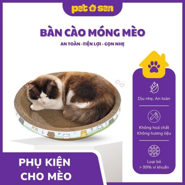 Bàn cào móng mèo