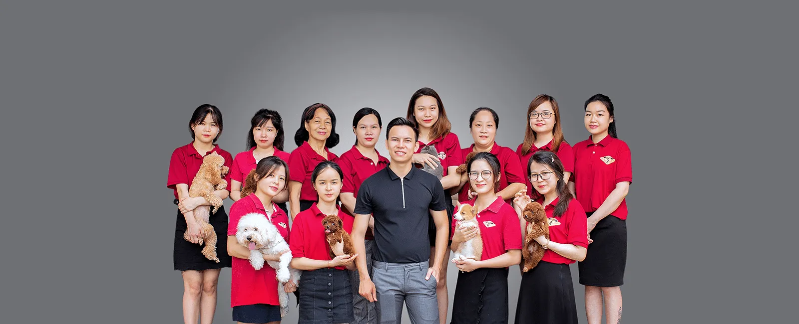 đội ngũ chuyên gia hỗ trợ mua bán chó mèo hà nội