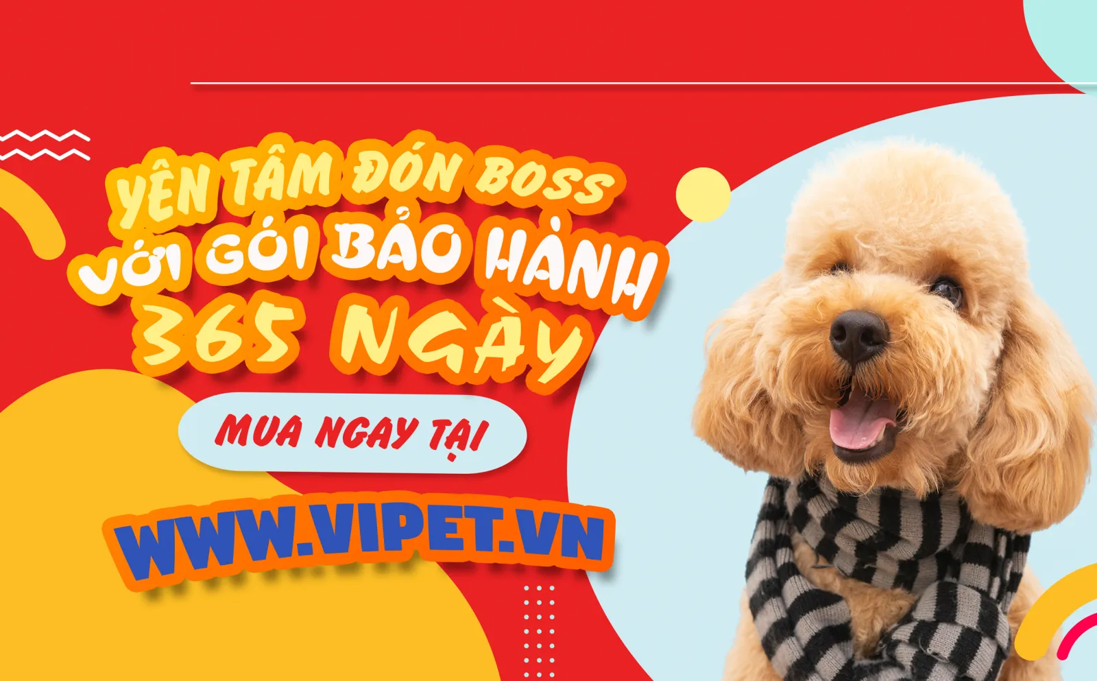 Shop bán chó cảnh bảo hành 365 ngày