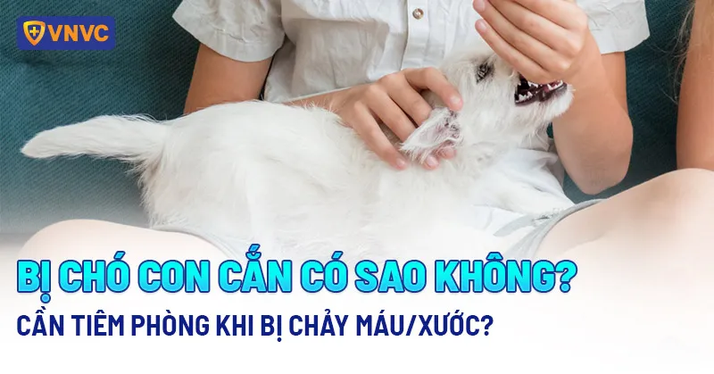 Chó con có thể mang virus dại từ khi còn nhỏ