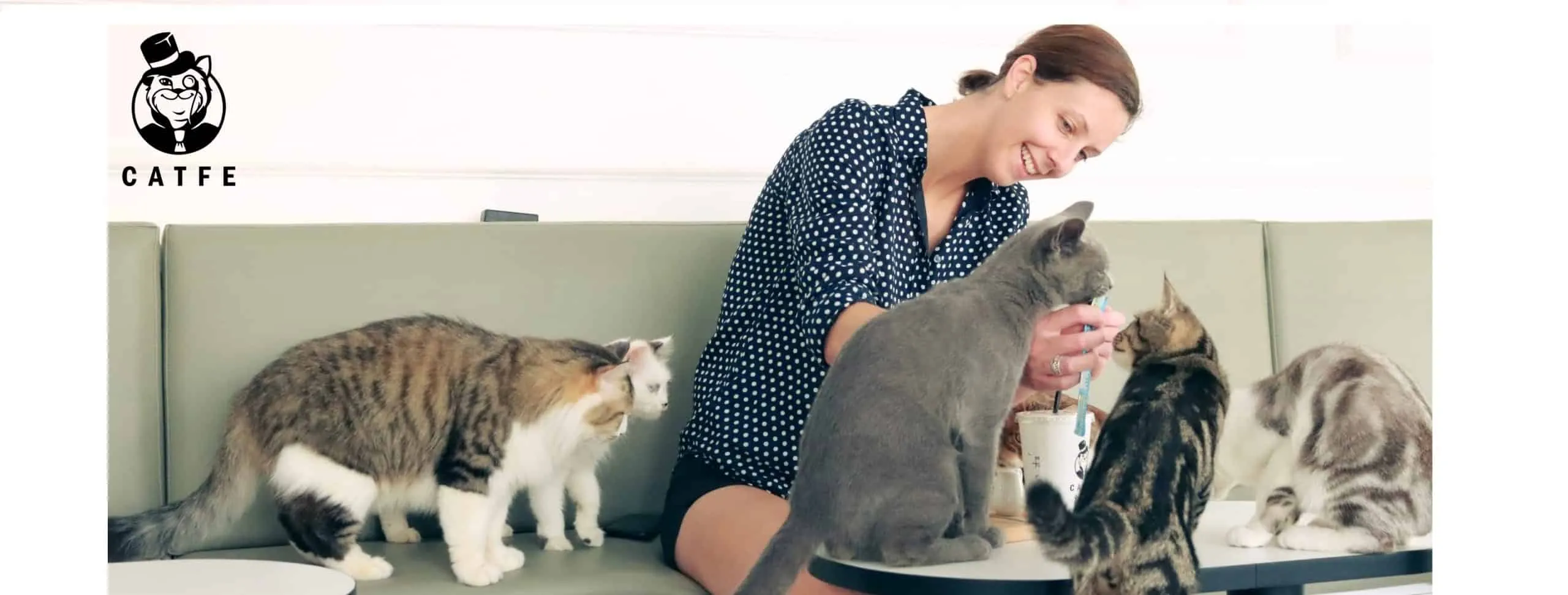 CATFE Coffee - không gian sang trọng