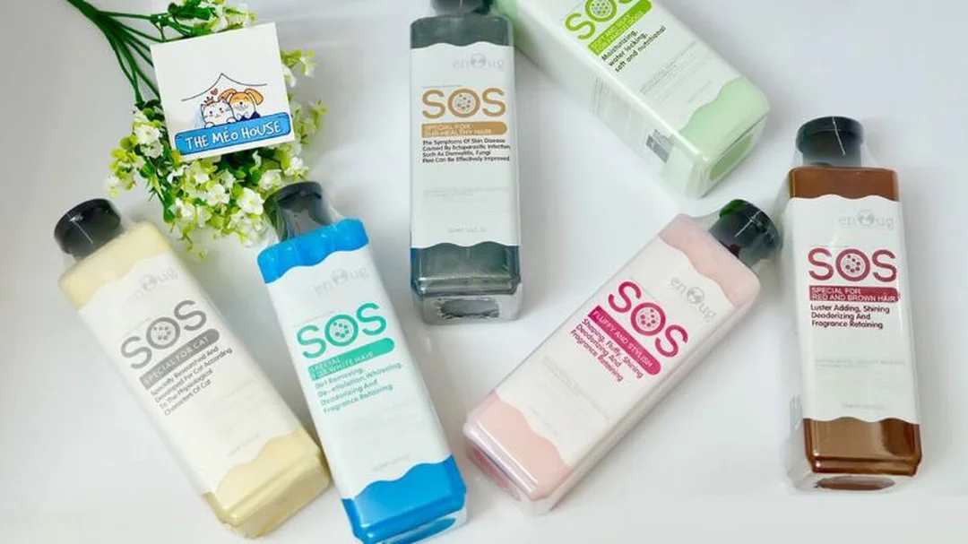 cách tắm cho chó corgi theo từng bước tại nhà