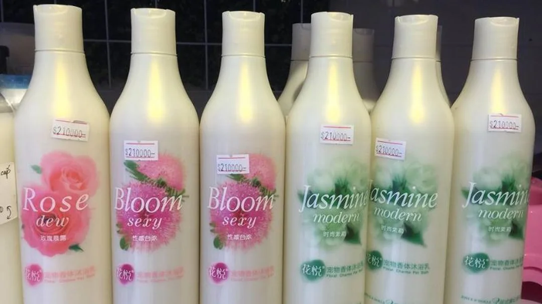 cách tắm cho chó corgi với sữa tắm phù hợp da lông