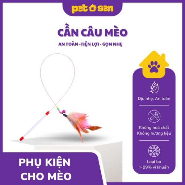 Cần câu mèo