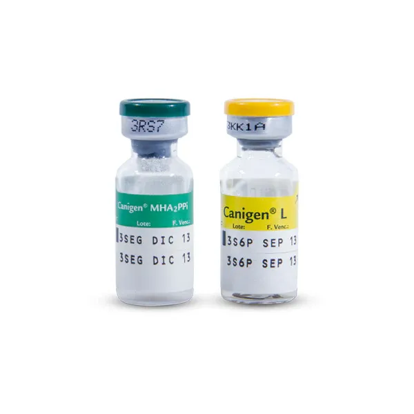 Vắc xin Canigen của Virbac Pháp được sản xuất bằng công nghệ hiện đại đảm bảo độ tinh khiết và an toàn cao cho chó nhỏ