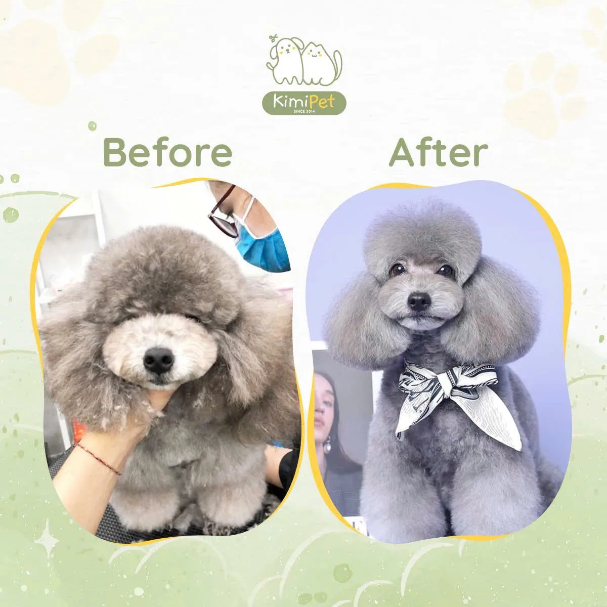 Grooming chuyên nghiệp cho mèo cảnh