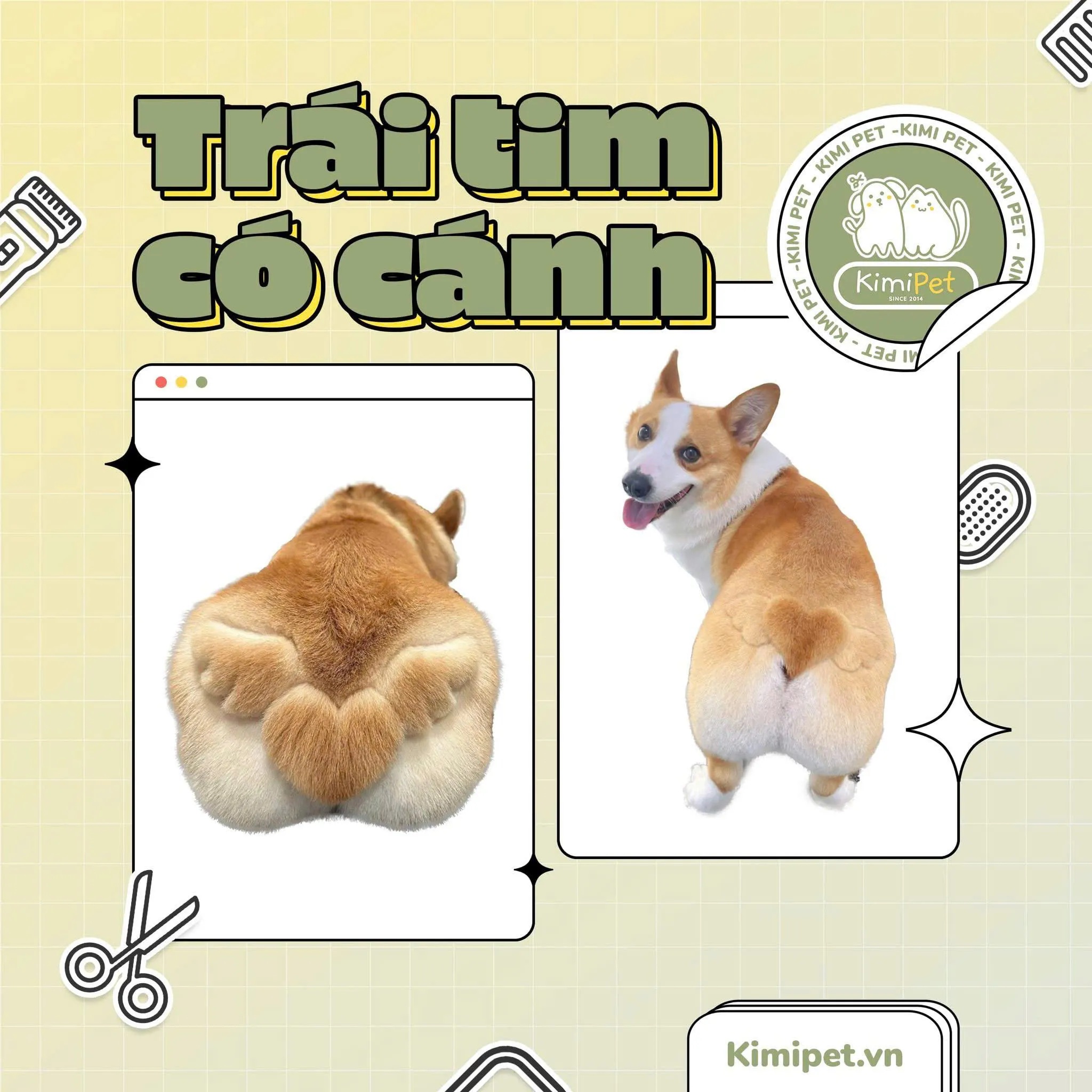 Kiểu tỉa lông sư tử cho mèo Ba Tư