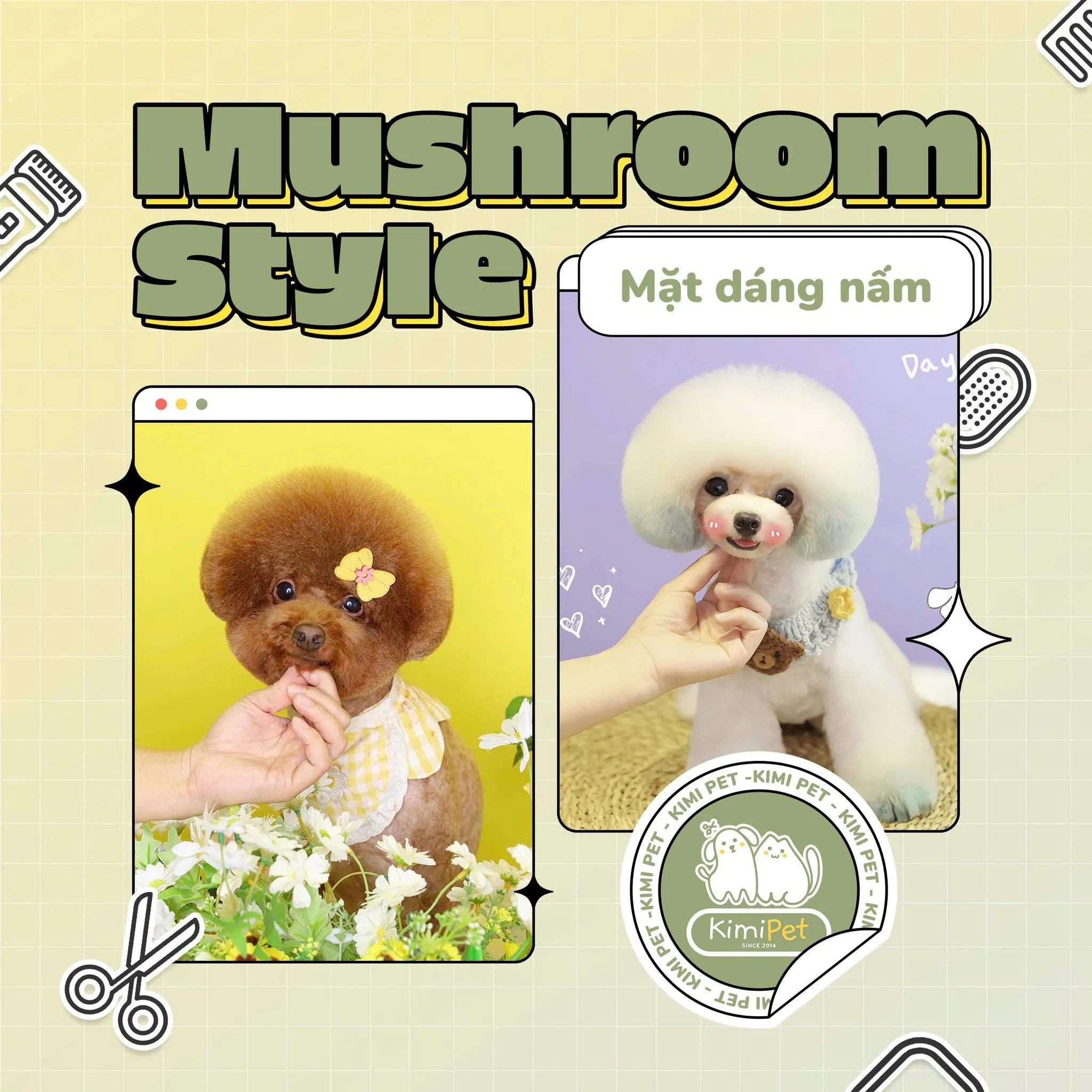 Tỉa lông kiểu ngắn gọn cho mèo trong mùa hè