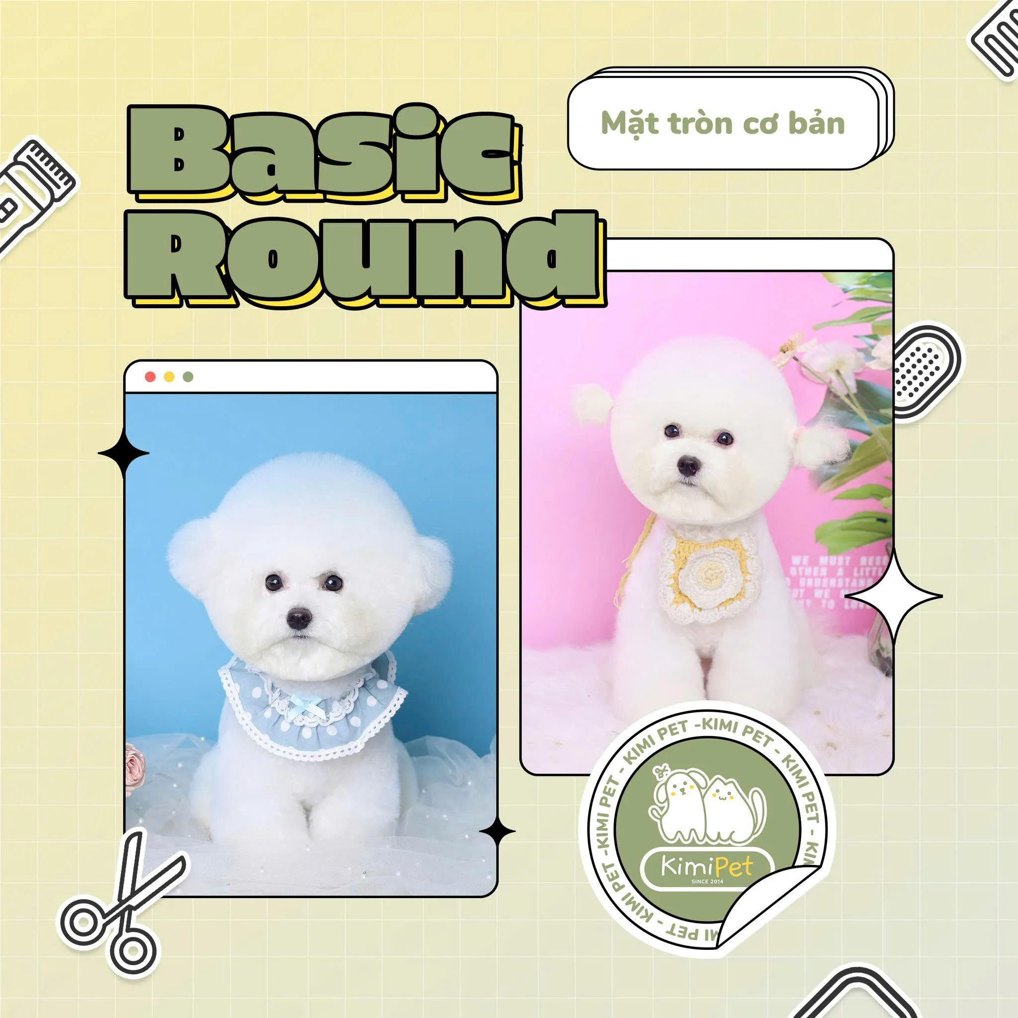 Grooming cho mèo Ragdoll