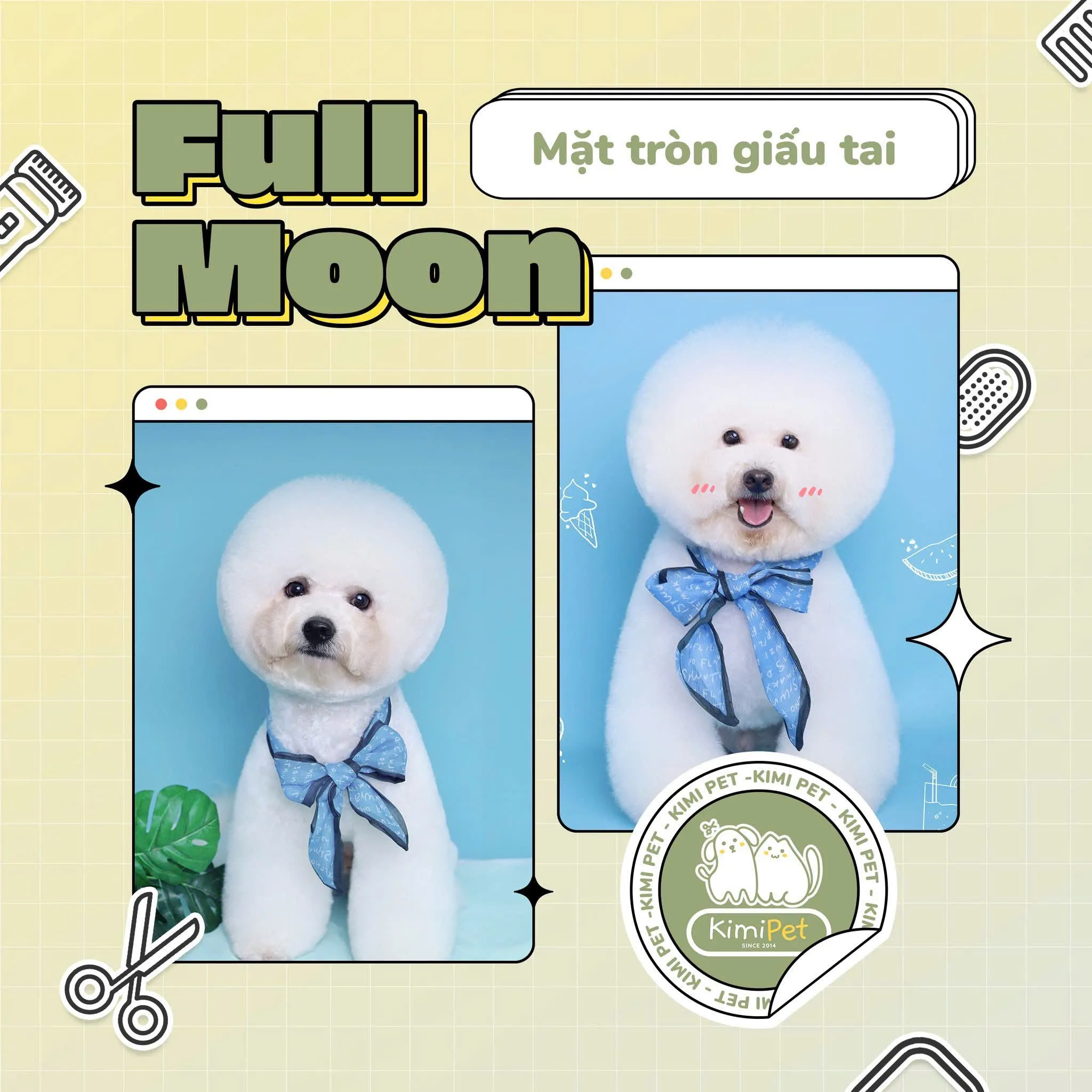 Tỉa lông nghệ thuật cho mèo