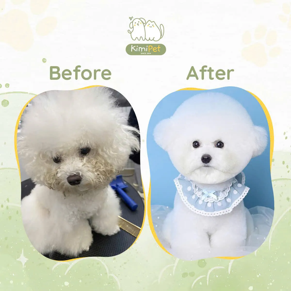 Kiểu tỉa lông hiện đại cho mèo