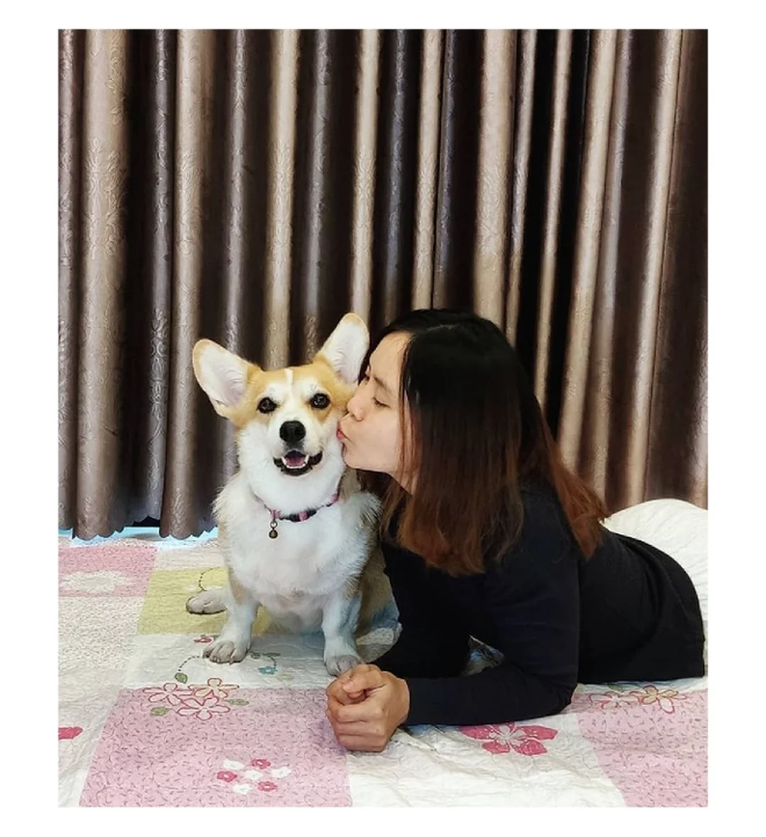 chi phí nuôi chó corgi năm đầu tiên