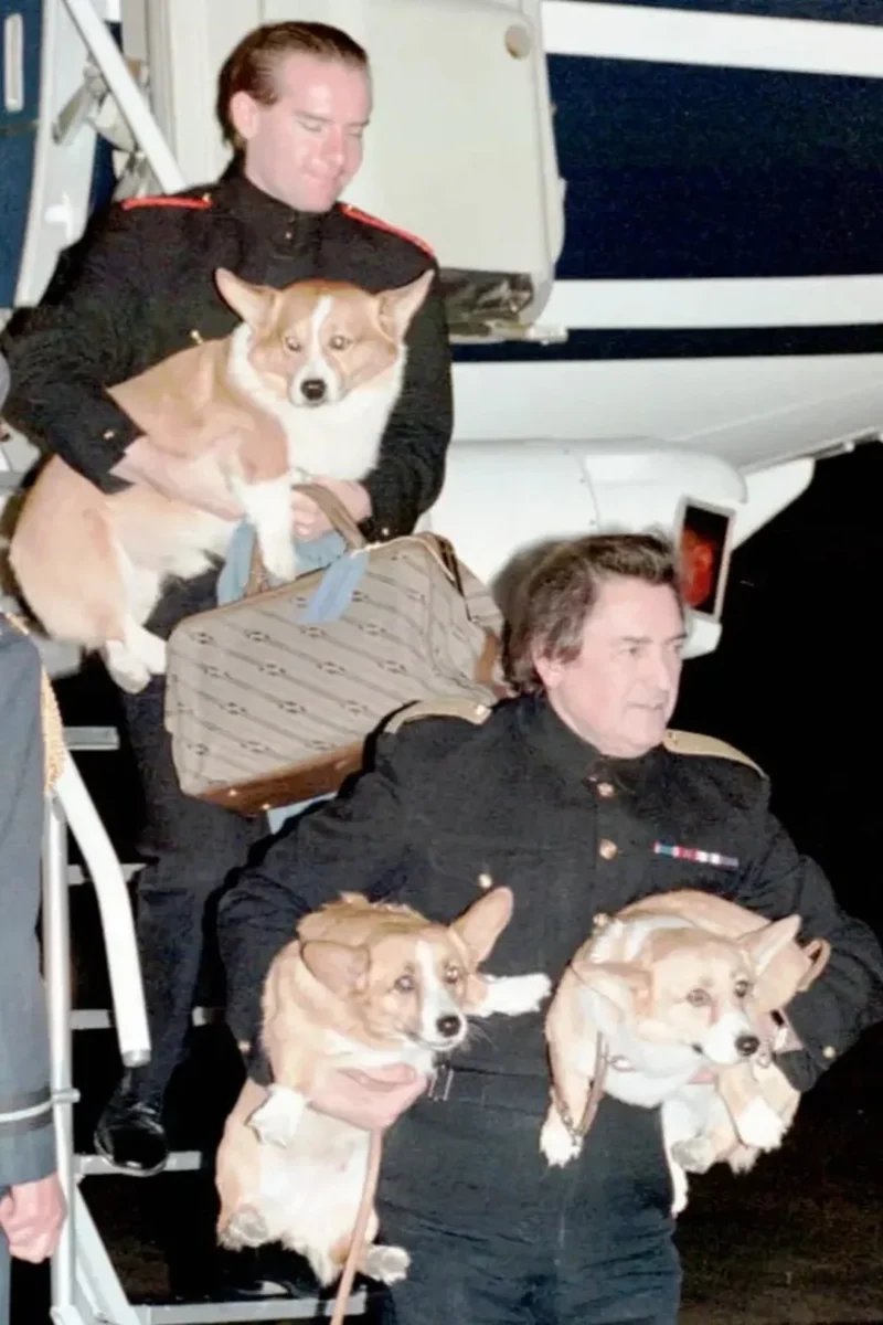 chó corgi của Nữ hoàng Anh cùng người chăm sóc trong giai đoạn cuối đời