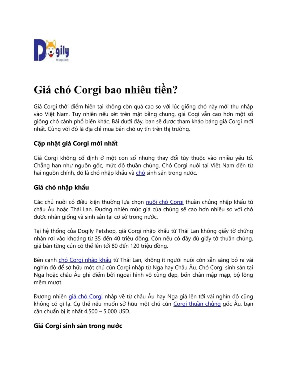 chó corgi giá bao nhiêu - hình minh họa 1